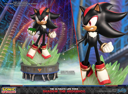 First 4 Figures: Sonic The Hedgehog - The Ultimate Life Form Shadow the Hedgehog Preventa