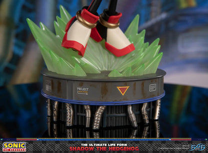 First 4 Figures: Sonic The Hedgehog - The Ultimate Life Form Shadow the Hedgehog Preventa